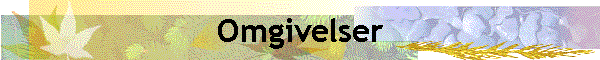 Omgivelser